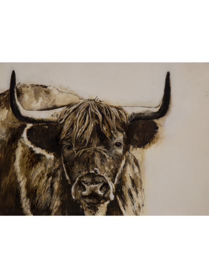 Highland Bull - Alissa Wright Art